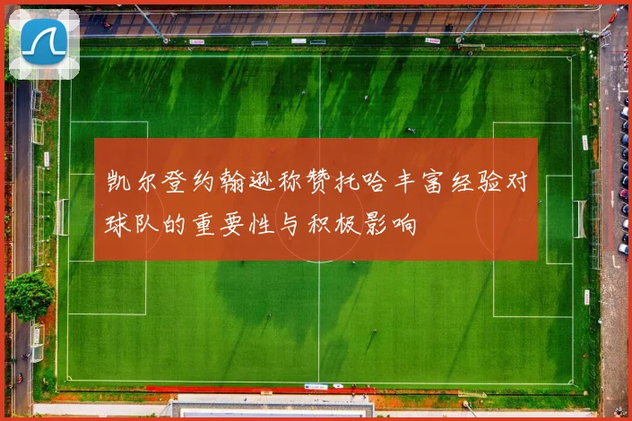 凯尔登约翰逊称赞托哈丰富经验对球队的重要性与积极影响